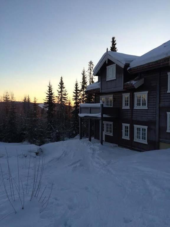 Flat In Trysil Ski In Ski Out And Sauna Extérieur photo